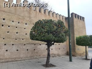 [P13] Palatul Regal » foto by adso
 - 
<span class="allrVoted glyphicon glyphicon-heart hidden" id="av1547219"></span>
<a class="m-l-10 hidden" id="sv1547219" onclick="voting_Foto_DelVot(,1547219,8506)" role="button">șterge vot <span class="glyphicon glyphicon-remove"></span></a>
<a id="v91547219" class=" c-red"  onclick="voting_Foto_SetVot(1547219)" role="button"><span class="glyphicon glyphicon-heart-empty"></span> <b>LIKE</b> = Votează poza</a> <img class="hidden"  id="f1547219W9" src="/imagini/loader.gif" border="0" /><span class="AjErrMes hidden" id="e1547219ErM"></span>