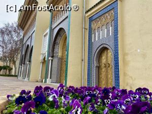 [P17] Palatul Regal » foto by adso
 - 
<span class="allrVoted glyphicon glyphicon-heart hidden" id="av1547223"></span>
<a class="m-l-10 hidden" id="sv1547223" onclick="voting_Foto_DelVot(,1547223,8506)" role="button">șterge vot <span class="glyphicon glyphicon-remove"></span></a>
<a id="v91547223" class=" c-red"  onclick="voting_Foto_SetVot(1547223)" role="button"><span class="glyphicon glyphicon-heart-empty"></span> <b>LIKE</b> = Votează poza</a> <img class="hidden"  id="f1547223W9" src="/imagini/loader.gif" border="0" /><span class="AjErrMes hidden" id="e1547223ErM"></span>