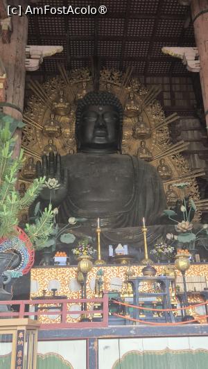 [P19] Pe cat de impresionanta este sala, pe atat de spectaculoasa este statuia din bronz, initial aurita, inalta de 15 metri a lui Buddha Daibutsu, Budha suprem, fiind cea mai mare din Japonia.
Cantareste 500 de tone si este asezata pe un soclu format din 56 petale de lotus din bronz. Pe haloul din spatele statuii sunt 16 reincarnari ale lui Budha, reprezentate prin statui care au fiecare 2 metri inaltime. » foto by geani anto
 - 
<span class="allrVoted glyphicon glyphicon-heart hidden" id="av1458154"></span>
<a class="m-l-10 hidden" id="sv1458154" onclick="voting_Foto_DelVot(,1458154,8565)" role="button">șterge vot <span class="glyphicon glyphicon-remove"></span></a>
<a id="v91458154" class=" c-red"  onclick="voting_Foto_SetVot(1458154)" role="button"><span class="glyphicon glyphicon-heart-empty"></span> <b>LIKE</b> = Votează poza</a> <img class="hidden"  id="f1458154W9" src="/imagini/loader.gif" border="0" /><span class="AjErrMes hidden" id="e1458154ErM"></span>