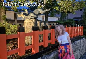 [P01] Fushimi Inari Taisha este dedicat lui Inari, zeul Shinto al recoltei de orez, al comertului si al afacerilor. Acest altar este renumit pentru miile de porti portocalii torii sub care o poteca serpuieste prin padure si pe terenurile sacre ale Muntelui Inari. Este alcatuit din cinci sanctuare principale, un altar inferior, mijlociu, superior si 2 altare auxiliare, plus multe altare secundare mai mici. In dreapta primei porti a altarului se afla statuia unei vulpi, mesagera zeului orezului. » foto by geani anto
 - 
<span class="allrVoted glyphicon glyphicon-heart hidden" id="av1448636"></span>
<a class="m-l-10 hidden" id="sv1448636" onclick="voting_Foto_DelVot(,1448636,8571)" role="button">șterge vot <span class="glyphicon glyphicon-remove"></span></a>
<a id="v91448636" class=" c-red"  onclick="voting_Foto_SetVot(1448636)" role="button"><span class="glyphicon glyphicon-heart-empty"></span> <b>LIKE</b> = Votează poza</a> <img class="hidden"  id="f1448636W9" src="/imagini/loader.gif" border="0" /><span class="AjErrMes hidden" id="e1448636ErM"></span>