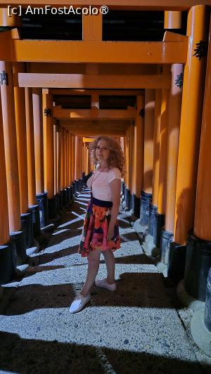 [P16] Fushimi Inari Shrine este magic, fiind cu siguranta cel mai fotografiat datorita frumoaselor porti Torii, care au fost prezentate si in filmul „Memoriile unei gheise”. » foto by geani anto
 - 
<span class="allrVoted glyphicon glyphicon-heart hidden" id="av1448651"></span>
<a class="m-l-10 hidden" id="sv1448651" onclick="voting_Foto_DelVot(,1448651,8571)" role="button">șterge vot <span class="glyphicon glyphicon-remove"></span></a>
<a id="v91448651" class=" c-red"  onclick="voting_Foto_SetVot(1448651)" role="button"><span class="glyphicon glyphicon-heart-empty"></span> <b>LIKE</b> = Votează poza</a> <img class="hidden"  id="f1448651W9" src="/imagini/loader.gif" border="0" /><span class="AjErrMes hidden" id="e1448651ErM"></span>