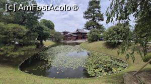 [P03] Byodo-in a fost initial o vila a unui aristocrat, Fujiwara no Michinaga, unul dintre cei mai puternici membri ai clanului Fujiwara, construita in 998, in perioada Heian. In 1052, fiul sau, regentul Fujiwara Yorimichi, a transformat-o in templu budist, in memoria tatalui sau. Numele templului, „Byodoin”, se traduce prin „Templul Egalitatii si Iluminarii”.
Byodo-in are cele mai vechi si una dintre putinele gradini budiste din Tara Pura ramase din Japonia, caracterizate printr-un aspect natural. Completata cu un iaz, reprezinta conceptul budist de paradis si serveste ca loc de meditatie si contemplatie. » foto by geani anto
 - 
<span class="allrVoted glyphicon glyphicon-heart hidden" id="av1453661"></span>
<a class="m-l-10 hidden" id="sv1453661" onclick="voting_Foto_DelVot(,1453661,8571)" role="button">șterge vot <span class="glyphicon glyphicon-remove"></span></a>
<a id="v91453661" class=" c-red"  onclick="voting_Foto_SetVot(1453661)" role="button"><span class="glyphicon glyphicon-heart-empty"></span> <b>LIKE</b> = Votează poza</a> <img class="hidden"  id="f1453661W9" src="/imagini/loader.gif" border="0" /><span class="AjErrMes hidden" id="e1453661ErM"></span>