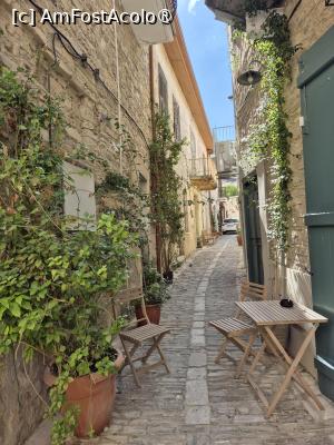 [P13] Lefkara - prin sat » foto by ANILU
 - 
<span class="allrVoted glyphicon glyphicon-heart hidden" id="av1506196"></span>
<a class="m-l-10 hidden" id="sv1506196" onclick="voting_Foto_DelVot(,1506196,8662)" role="button">șterge vot <span class="glyphicon glyphicon-remove"></span></a>
<a id="v91506196" class=" c-red"  onclick="voting_Foto_SetVot(1506196)" role="button"><span class="glyphicon glyphicon-heart-empty"></span> <b>LIKE</b> = Votează poza</a> <img class="hidden"  id="f1506196W9" src="/imagini/loader.gif" border="0" /><span class="AjErrMes hidden" id="e1506196ErM"></span>