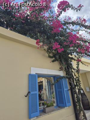 [P23] Lefkara - prin sat » foto by ANILU
 - 
<span class="allrVoted glyphicon glyphicon-heart hidden" id="av1506206"></span>
<a class="m-l-10 hidden" id="sv1506206" onclick="voting_Foto_DelVot(,1506206,8662)" role="button">șterge vot <span class="glyphicon glyphicon-remove"></span></a>
<a id="v91506206" class=" c-red"  onclick="voting_Foto_SetVot(1506206)" role="button"><span class="glyphicon glyphicon-heart-empty"></span> <b>LIKE</b> = Votează poza</a> <img class="hidden"  id="f1506206W9" src="/imagini/loader.gif" border="0" /><span class="AjErrMes hidden" id="e1506206ErM"></span>