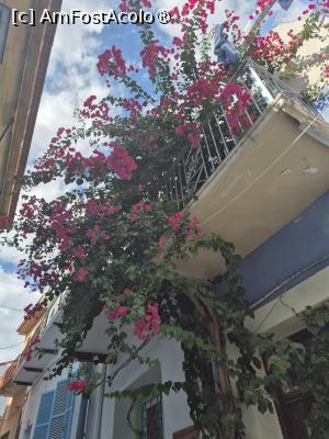 [P24] Lefkara - prin sat » foto by ANILU
 - 
<span class="allrVoted glyphicon glyphicon-heart hidden" id="av1506207"></span>
<a class="m-l-10 hidden" id="sv1506207" onclick="voting_Foto_DelVot(,1506207,8662)" role="button">șterge vot <span class="glyphicon glyphicon-remove"></span></a>
<a id="v91506207" class=" c-red"  onclick="voting_Foto_SetVot(1506207)" role="button"><span class="glyphicon glyphicon-heart-empty"></span> <b>LIKE</b> = Votează poza</a> <img class="hidden"  id="f1506207W9" src="/imagini/loader.gif" border="0" /><span class="AjErrMes hidden" id="e1506207ErM"></span>