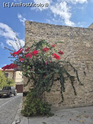 [P25] Lefkara - prin sat » foto by ANILU
 - 
<span class="allrVoted glyphicon glyphicon-heart hidden" id="av1506208"></span>
<a class="m-l-10 hidden" id="sv1506208" onclick="voting_Foto_DelVot(,1506208,8662)" role="button">șterge vot <span class="glyphicon glyphicon-remove"></span></a>
<a id="v91506208" class=" c-red"  onclick="voting_Foto_SetVot(1506208)" role="button"><span class="glyphicon glyphicon-heart-empty"></span> <b>LIKE</b> = Votează poza</a> <img class="hidden"  id="f1506208W9" src="/imagini/loader.gif" border="0" /><span class="AjErrMes hidden" id="e1506208ErM"></span>