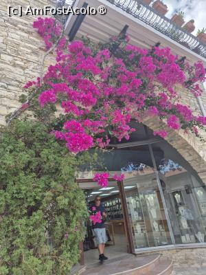 [P28] Lefkara - prin sat » foto by ANILU
 - 
<span class="allrVoted glyphicon glyphicon-heart hidden" id="av1506211"></span>
<a class="m-l-10 hidden" id="sv1506211" onclick="voting_Foto_DelVot(,1506211,8662)" role="button">șterge vot <span class="glyphicon glyphicon-remove"></span></a>
<a id="v91506211" class=" c-red"  onclick="voting_Foto_SetVot(1506211)" role="button"><span class="glyphicon glyphicon-heart-empty"></span> <b>LIKE</b> = Votează poza</a> <img class="hidden"  id="f1506211W9" src="/imagini/loader.gif" border="0" /><span class="AjErrMes hidden" id="e1506211ErM"></span>