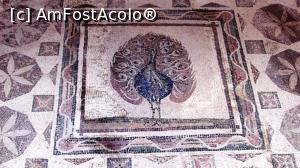 [P56] Frumosul păun din casa lui Dionysos » foto by crismis
 - 
<span class="allrVoted glyphicon glyphicon-heart hidden" id="av716408"></span>
<a class="m-l-10 hidden" id="sv716408" onclick="voting_Foto_DelVot(,716408,8732)" role="button">șterge vot <span class="glyphicon glyphicon-remove"></span></a>
<a id="v9716408" class=" c-red"  onclick="voting_Foto_SetVot(716408)" role="button"><span class="glyphicon glyphicon-heart-empty"></span> <b>LIKE</b> = Votează poza</a> <img class="hidden"  id="f716408W9" src="/imagini/loader.gif" border="0" /><span class="AjErrMes hidden" id="e716408ErM"></span>