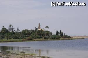 [P17] Lacul Sarat si moscheea 'Hala Sultan Tekke' » foto by cdiana
 - 
<span class="allrVoted glyphicon glyphicon-heart hidden" id="av434241"></span>
<a class="m-l-10 hidden" id="sv434241" onclick="voting_Foto_DelVot(,434241,8732)" role="button">șterge vot <span class="glyphicon glyphicon-remove"></span></a>
<a id="v9434241" class=" c-red"  onclick="voting_Foto_SetVot(434241)" role="button"><span class="glyphicon glyphicon-heart-empty"></span> <b>LIKE</b> = Votează poza</a> <img class="hidden"  id="f434241W9" src="/imagini/loader.gif" border="0" /><span class="AjErrMes hidden" id="e434241ErM"></span>