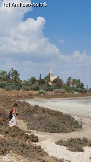 [P38] Lacul sărat Larnaca și moscheea Hala Sultan Tekkesi » foto by Carmen Ion
 - 
<span class="allrVoted glyphicon glyphicon-heart hidden" id="av1474587"></span>
<a class="m-l-10 hidden" id="sv1474587" onclick="voting_Foto_DelVot(,1474587,8732)" role="button">șterge vot <span class="glyphicon glyphicon-remove"></span></a>
<a id="v91474587" class=" c-red"  onclick="voting_Foto_SetVot(1474587)" role="button"><span class="glyphicon glyphicon-heart-empty"></span> <b>LIKE</b> = Votează poza</a> <img class="hidden"  id="f1474587W9" src="/imagini/loader.gif" border="0" /><span class="AjErrMes hidden" id="e1474587ErM"></span>