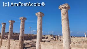 [P08] Parcul arheologic din Paphos » foto by Carmen Ion
 - 
<span class="allrVoted glyphicon glyphicon-heart hidden" id="av1474557"></span>
<a class="m-l-10 hidden" id="sv1474557" onclick="voting_Foto_DelVot(,1474557,8732)" role="button">șterge vot <span class="glyphicon glyphicon-remove"></span></a>
<a id="v91474557" class=" c-red"  onclick="voting_Foto_SetVot(1474557)" role="button"><span class="glyphicon glyphicon-heart-empty"></span> <b>LIKE</b> = Votează poza</a> <img class="hidden"  id="f1474557W9" src="/imagini/loader.gif" border="0" /><span class="AjErrMes hidden" id="e1474557ErM"></span>