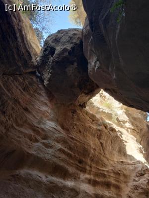 [P02]  -- <small>// FĂRĂ DESCRIERE</small> » foto by Marius 72
 - 
<span class="allrVoted glyphicon glyphicon-heart hidden" id="av1493058"></span>
<a class="m-l-10 hidden" id="sv1493058" onclick="voting_Foto_DelVot(,1493058,8732)" role="button">șterge vot <span class="glyphicon glyphicon-remove"></span></a>
<a id="v91493058" class=" c-red"  onclick="voting_Foto_SetVot(1493058)" role="button"><span class="glyphicon glyphicon-heart-empty"></span> <b>LIKE</b> = Votează poza</a> <img class="hidden"  id="f1493058W9" src="/imagini/loader.gif" border="0" /><span class="AjErrMes hidden" id="e1493058ErM"></span>