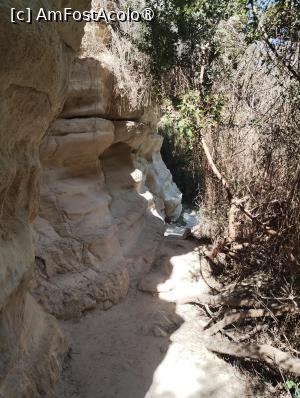 [P21]  -- <small>// FĂRĂ DESCRIERE</small> » foto by Marius 72
 - 
<span class="allrVoted glyphicon glyphicon-heart hidden" id="av1493077"></span>
<a class="m-l-10 hidden" id="sv1493077" onclick="voting_Foto_DelVot(,1493077,8732)" role="button">șterge vot <span class="glyphicon glyphicon-remove"></span></a>
<a id="v91493077" class=" c-red"  onclick="voting_Foto_SetVot(1493077)" role="button"><span class="glyphicon glyphicon-heart-empty"></span> <b>LIKE</b> = Votează poza</a> <img class="hidden"  id="f1493077W9" src="/imagini/loader.gif" border="0" /><span class="AjErrMes hidden" id="e1493077ErM"></span>
