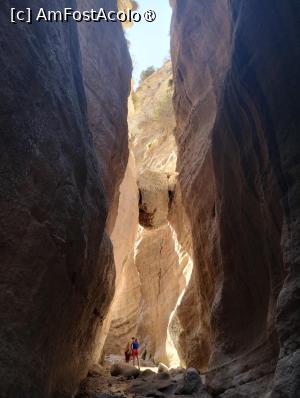 [P23]  -- <small>// FĂRĂ DESCRIERE</small> » foto by Marius 72
 - 
<span class="allrVoted glyphicon glyphicon-heart hidden" id="av1493079"></span>
<a class="m-l-10 hidden" id="sv1493079" onclick="voting_Foto_DelVot(,1493079,8732)" role="button">șterge vot <span class="glyphicon glyphicon-remove"></span></a>
<a id="v91493079" class=" c-red"  onclick="voting_Foto_SetVot(1493079)" role="button"><span class="glyphicon glyphicon-heart-empty"></span> <b>LIKE</b> = Votează poza</a> <img class="hidden"  id="f1493079W9" src="/imagini/loader.gif" border="0" /><span class="AjErrMes hidden" id="e1493079ErM"></span>