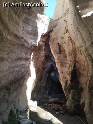 [P29]  -- <small>// FĂRĂ DESCRIERE</small> » foto by Marius 72
 - 
<span class="allrVoted glyphicon glyphicon-heart hidden" id="av1493085"></span>
<a class="m-l-10 hidden" id="sv1493085" onclick="voting_Foto_DelVot(,1493085,8732)" role="button">șterge vot <span class="glyphicon glyphicon-remove"></span></a>
<a id="v91493085" class=" c-red"  onclick="voting_Foto_SetVot(1493085)" role="button"><span class="glyphicon glyphicon-heart-empty"></span> <b>LIKE</b> = Votează poza</a> <img class="hidden"  id="f1493085W9" src="/imagini/loader.gif" border="0" /><span class="AjErrMes hidden" id="e1493085ErM"></span>