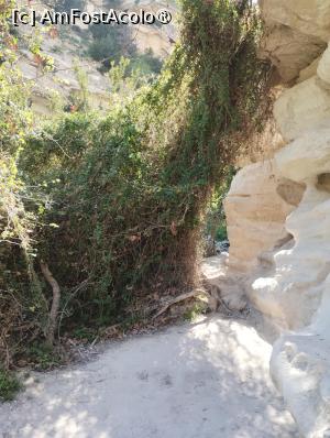[P36]  -- <small>// FĂRĂ DESCRIERE</small> » foto by Marius 72
 - 
<span class="allrVoted glyphicon glyphicon-heart hidden" id="av1493092"></span>
<a class="m-l-10 hidden" id="sv1493092" onclick="voting_Foto_DelVot(,1493092,8732)" role="button">șterge vot <span class="glyphicon glyphicon-remove"></span></a>
<a id="v91493092" class=" c-red"  onclick="voting_Foto_SetVot(1493092)" role="button"><span class="glyphicon glyphicon-heart-empty"></span> <b>LIKE</b> = Votează poza</a> <img class="hidden"  id="f1493092W9" src="/imagini/loader.gif" border="0" /><span class="AjErrMes hidden" id="e1493092ErM"></span>