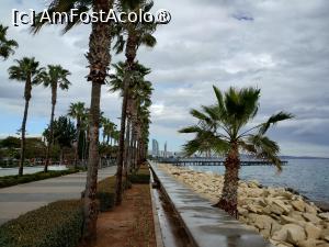 [P17] Faleza din Limassol » foto by Marius 72
 - 
<span class="allrVoted glyphicon glyphicon-heart hidden" id="av1493310"></span>
<a class="m-l-10 hidden" id="sv1493310" onclick="voting_Foto_DelVot(,1493310,8732)" role="button">șterge vot <span class="glyphicon glyphicon-remove"></span></a>
<a id="v91493310" class=" c-red"  onclick="voting_Foto_SetVot(1493310)" role="button"><span class="glyphicon glyphicon-heart-empty"></span> <b>LIKE</b> = Votează poza</a> <img class="hidden"  id="f1493310W9" src="/imagini/loader.gif" border="0" /><span class="AjErrMes hidden" id="e1493310ErM"></span>