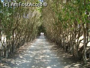 P18 [SEP-2016] Quinta de Alcube -in drum spre ferma viticolă privată. 