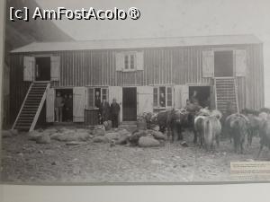 [P07] Vík » foto by adso
 - 
<span class="allrVoted glyphicon glyphicon-heart hidden" id="av1510187"></span>
<a class="m-l-10 hidden" id="sv1510187" onclick="voting_Foto_DelVot(,1510187,8786)" role="button">șterge vot <span class="glyphicon glyphicon-remove"></span></a>
<a id="v91510187" class=" c-red"  onclick="voting_Foto_SetVot(1510187)" role="button"><span class="glyphicon glyphicon-heart-empty"></span> <b>LIKE</b> = Votează poza</a> <img class="hidden"  id="f1510187W9" src="/imagini/loader.gif" border="0" /><span class="AjErrMes hidden" id="e1510187ErM"></span>