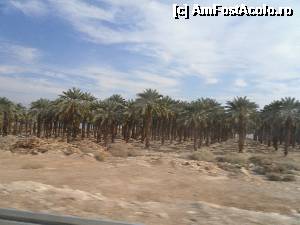 P07 [FEB-2014] viata in desert