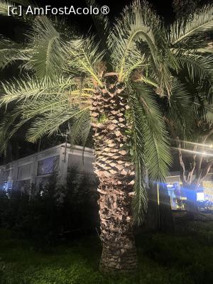 [P19] Reggio Calabria- Lungomare Falcomata » foto by Yersinia Pestis
 - 
<span class="allrVoted glyphicon glyphicon-heart hidden" id="av1514863"></span>
<a class="m-l-10 hidden" id="sv1514863" onclick="voting_Foto_DelVot(,1514863,8924)" role="button">șterge vot <span class="glyphicon glyphicon-remove"></span></a>
<a id="v91514863" class=" c-red"  onclick="voting_Foto_SetVot(1514863)" role="button"><span class="glyphicon glyphicon-heart-empty"></span> <b>LIKE</b> = Votează poza</a> <img class="hidden"  id="f1514863W9" src="/imagini/loader.gif" border="0" /><span class="AjErrMes hidden" id="e1514863ErM"></span>