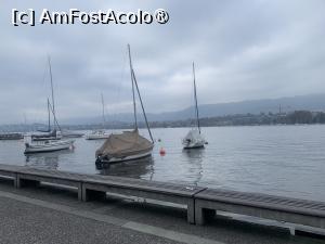 [P35] Zürrich,promenada de la lac » foto by AZE
 - 
<span class="allrVoted glyphicon glyphicon-heart hidden" id="av1462505"></span>
<a class="m-l-10 hidden" id="sv1462505" onclick="voting_Foto_DelVot(,1462505,8927)" role="button">șterge vot <span class="glyphicon glyphicon-remove"></span></a>
<a id="v91462505" class=" c-red"  onclick="voting_Foto_SetVot(1462505)" role="button"><span class="glyphicon glyphicon-heart-empty"></span> <b>LIKE</b> = Votează poza</a> <img class="hidden"  id="f1462505W9" src="/imagini/loader.gif" border="0" /><span class="AjErrMes hidden" id="e1462505ErM"></span>