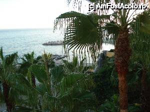 P12 [OCT-2012] Playabonita Hotel - vedere din balcon cu un palmier ce depășea nivelul etajului 5