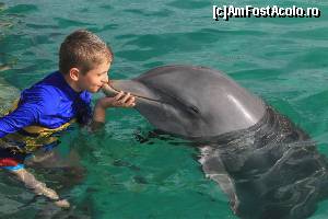 [P16] Intalnire cu un delfin pe Dolphins Island, Punta Cana » foto by roloback
 - 
<span class="allrVoted glyphicon glyphicon-heart hidden" id="av644608"></span>
<a class="m-l-10 hidden" id="sv644608" onclick="voting_Foto_DelVot(,644608,9056)" role="button">șterge vot <span class="glyphicon glyphicon-remove"></span></a>
<a id="v9644608" class=" c-red"  onclick="voting_Foto_SetVot(644608)" role="button"><span class="glyphicon glyphicon-heart-empty"></span> <b>LIKE</b> = Votează poza</a> <img class="hidden"  id="f644608W9" src="/imagini/loader.gif" border="0" /><span class="AjErrMes hidden" id="e644608ErM"></span>