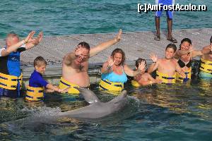 [P17] Acrobatii cu delfini pe Dolphins Island, Punta Cana » foto by roloback
 - 
<span class="allrVoted glyphicon glyphicon-heart hidden" id="av644609"></span>
<a class="m-l-10 hidden" id="sv644609" onclick="voting_Foto_DelVot(,644609,9056)" role="button">șterge vot <span class="glyphicon glyphicon-remove"></span></a>
<a id="v9644609" class=" c-red"  onclick="voting_Foto_SetVot(644609)" role="button"><span class="glyphicon glyphicon-heart-empty"></span> <b>LIKE</b> = Votează poza</a> <img class="hidden"  id="f644609W9" src="/imagini/loader.gif" border="0" /><span class="AjErrMes hidden" id="e644609ErM"></span>