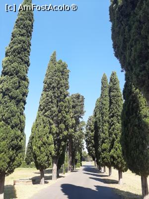 [P05] Via Appia Antica » foto by adso
 - 
<span class="allrVoted glyphicon glyphicon-heart hidden" id="av1493746"></span>
<a class="m-l-10 hidden" id="sv1493746" onclick="voting_Foto_DelVot(,1493746,9312)" role="button">șterge vot <span class="glyphicon glyphicon-remove"></span></a>
<a id="v91493746" class=" c-red"  onclick="voting_Foto_SetVot(1493746)" role="button"><span class="glyphicon glyphicon-heart-empty"></span> <b>LIKE</b> = Votează poza</a> <img class="hidden"  id="f1493746W9" src="/imagini/loader.gif" border="0" /><span class="AjErrMes hidden" id="e1493746ErM"></span>