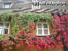 [P10] La Fuggerei - casute cu verdeata » foto by cryss27
 - 
<span class="allrVoted glyphicon glyphicon-heart hidden" id="av288769"></span>
<a class="m-l-10 hidden" id="sv288769" onclick="voting_Foto_DelVot(,288769,9315)" role="button">șterge vot <span class="glyphicon glyphicon-remove"></span></a>
<a id="v9288769" class=" c-red"  onclick="voting_Foto_SetVot(288769)" role="button"><span class="glyphicon glyphicon-heart-empty"></span> <b>LIKE</b> = Votează poza</a> <img class="hidden"  id="f288769W9" src="/imagini/loader.gif" border="0" /><span class="AjErrMes hidden" id="e288769ErM"></span>