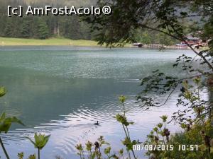 [P26] În fundal - Gasthof Jagersee » foto by Alina53
 - 
<span class="allrVoted glyphicon glyphicon-heart hidden" id="av732345"></span>
<a class="m-l-10 hidden" id="sv732345" onclick="voting_Foto_DelVot(,732345,9363)" role="button">șterge vot <span class="glyphicon glyphicon-remove"></span></a>
<a id="v9732345" class=" c-red"  onclick="voting_Foto_SetVot(732345)" role="button"><span class="glyphicon glyphicon-heart-empty"></span> <b>LIKE</b> = Votează poza</a> <img class="hidden"  id="f732345W9" src="/imagini/loader.gif" border="0" /><span class="AjErrMes hidden" id="e732345ErM"></span>