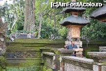 [P12] in mijlocul padurii din nou un templu - de data aceasa dedicat mortilor ( exista 3 feluri de temple in Bali - citeste rewievul despre Templele din Bali daca doresti ) » foto by Pami*
 - 
<span class="allrVoted glyphicon glyphicon-heart hidden" id="av232877"></span>
<a class="m-l-10 hidden" id="sv232877" onclick="voting_Foto_DelVot(,232877,9617)" role="button">șterge vot <span class="glyphicon glyphicon-remove"></span></a>
<a id="v9232877" class=" c-red"  onclick="voting_Foto_SetVot(232877)" role="button"><span class="glyphicon glyphicon-heart-empty"></span> <b>LIKE</b> = Votează poza</a> <img class="hidden"  id="f232877W9" src="/imagini/loader.gif" border="0" /><span class="AjErrMes hidden" id="e232877ErM"></span>