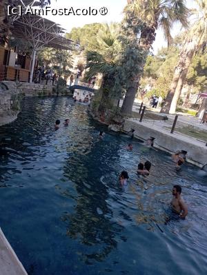 [P32] la piscina Cleopatrei » foto by Ella Elle
 - 
<span class="allrVoted glyphicon glyphicon-heart hidden" id="av1456426"></span>
<a class="m-l-10 hidden" id="sv1456426" onclick="voting_Foto_DelVot(,1456426,9765)" role="button">șterge vot <span class="glyphicon glyphicon-remove"></span></a>
<a id="v91456426" class=" c-red"  onclick="voting_Foto_SetVot(1456426)" role="button"><span class="glyphicon glyphicon-heart-empty"></span> <b>LIKE</b> = Votează poza</a> <img class="hidden"  id="f1456426W9" src="/imagini/loader.gif" border="0" /><span class="AjErrMes hidden" id="e1456426ErM"></span>