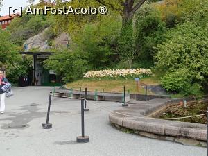 [P84] Stockholm, Skansen, zonă la intrarea în muzeu » foto by mprofeanu
 - 
<span class="allrVoted glyphicon glyphicon-heart hidden" id="av1516557"></span>
<a class="m-l-10 hidden" id="sv1516557" onclick="voting_Foto_DelVot(,1516557,9962)" role="button">șterge vot <span class="glyphicon glyphicon-remove"></span></a>
<a id="v91516557" class=" c-red"  onclick="voting_Foto_SetVot(1516557)" role="button"><span class="glyphicon glyphicon-heart-empty"></span> <b>LIKE</b> = Votează poza</a> <img class="hidden"  id="f1516557W9" src="/imagini/loader.gif" border="0" /><span class="AjErrMes hidden" id="e1516557ErM"></span>