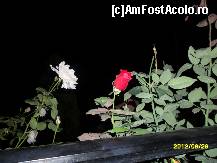 [P16]  -- <small>// FĂRĂ DESCRIERE</small> » foto by flori_floricika
 - 
<span class="allrVoted glyphicon glyphicon-heart hidden" id="av377644"></span>
<a class="m-l-10 hidden" id="sv377644" onclick="voting_Foto_DelVot(,377644,10085)" role="button">șterge vot <span class="glyphicon glyphicon-remove"></span></a>
<a id="v9377644" class=" c-red"  onclick="voting_Foto_SetVot(377644)" role="button"><span class="glyphicon glyphicon-heart-empty"></span> <b>LIKE</b> = Votează poza</a> <img class="hidden"  id="f377644W9" src="/imagini/loader.gif" border="0" /><span class="AjErrMes hidden" id="e377644ErM"></span>