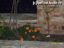 [P19]  -- <small>// FĂRĂ DESCRIERE</small> » foto by flori_floricika
 - 
<span class="allrVoted glyphicon glyphicon-heart hidden" id="av377651"></span>
<a class="m-l-10 hidden" id="sv377651" onclick="voting_Foto_DelVot(,377651,10085)" role="button">șterge vot <span class="glyphicon glyphicon-remove"></span></a>
<a id="v9377651" class=" c-red"  onclick="voting_Foto_SetVot(377651)" role="button"><span class="glyphicon glyphicon-heart-empty"></span> <b>LIKE</b> = Votează poza</a> <img class="hidden"  id="f377651W9" src="/imagini/loader.gif" border="0" /><span class="AjErrMes hidden" id="e377651ErM"></span>