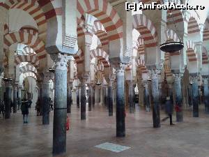 [P16] Mezquita - Cordoba » foto by Bujie
 - 
<span class="allrVoted glyphicon glyphicon-heart hidden" id="av585127"></span>
<a class="m-l-10 hidden" id="sv585127" onclick="voting_Foto_DelVot(,585127,10280)" role="button">șterge vot <span class="glyphicon glyphicon-remove"></span></a>
<a id="v9585127" class=" c-red"  onclick="voting_Foto_SetVot(585127)" role="button"><span class="glyphicon glyphicon-heart-empty"></span> <b>LIKE</b> = Votează poza</a> <img class="hidden"  id="f585127W9" src="/imagini/loader.gif" border="0" /><span class="AjErrMes hidden" id="e585127ErM"></span>