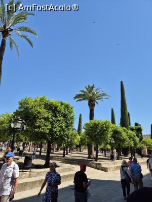 [P18] Cordoba - curtea interioară a Moscheiei-Catedrală » foto by ANILU
 - 
<span class="allrVoted glyphicon glyphicon-heart hidden" id="av1485611"></span>
<a class="m-l-10 hidden" id="sv1485611" onclick="voting_Foto_DelVot(,1485611,10280)" role="button">șterge vot <span class="glyphicon glyphicon-remove"></span></a>
<a id="v91485611" class=" c-red"  onclick="voting_Foto_SetVot(1485611)" role="button"><span class="glyphicon glyphicon-heart-empty"></span> <b>LIKE</b> = Votează poza</a> <img class="hidden"  id="f1485611W9" src="/imagini/loader.gif" border="0" /><span class="AjErrMes hidden" id="e1485611ErM"></span>