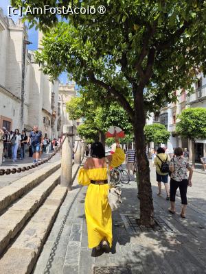[P24] Sevilla - pe lângă Catedrală cu ghida în prim plan » foto by ANILU
 - 
<span class="allrVoted glyphicon glyphicon-heart hidden" id="av1485617"></span>
<a class="m-l-10 hidden" id="sv1485617" onclick="voting_Foto_DelVot(,1485617,10280)" role="button">șterge vot <span class="glyphicon glyphicon-remove"></span></a>
<a id="v91485617" class=" c-red"  onclick="voting_Foto_SetVot(1485617)" role="button"><span class="glyphicon glyphicon-heart-empty"></span> <b>LIKE</b> = Votează poza</a> <img class="hidden"  id="f1485617W9" src="/imagini/loader.gif" border="0" /><span class="AjErrMes hidden" id="e1485617ErM"></span>