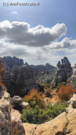 [P12]  -- <small>// FĂRĂ DESCRIERE</small> » foto by Maya_C
 - 
<span class="allrVoted glyphicon glyphicon-heart hidden" id="av1504322"></span>
<a class="m-l-10 hidden" id="sv1504322" onclick="voting_Foto_DelVot(,1504322,10280)" role="button">șterge vot <span class="glyphicon glyphicon-remove"></span></a>
<a id="v91504322" class=" c-red"  onclick="voting_Foto_SetVot(1504322)" role="button"><span class="glyphicon glyphicon-heart-empty"></span> <b>LIKE</b> = Votează poza</a> <img class="hidden"  id="f1504322W9" src="/imagini/loader.gif" border="0" /><span class="AjErrMes hidden" id="e1504322ErM"></span>