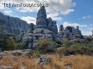 [P02]  -- <small>// FĂRĂ DESCRIERE</small> » foto by Maya_C
 - 
<span class="allrVoted glyphicon glyphicon-heart hidden" id="av1504312"></span>
<a class="m-l-10 hidden" id="sv1504312" onclick="voting_Foto_DelVot(,1504312,10280)" role="button">șterge vot <span class="glyphicon glyphicon-remove"></span></a>
<a id="v91504312" class=" c-red"  onclick="voting_Foto_SetVot(1504312)" role="button"><span class="glyphicon glyphicon-heart-empty"></span> <b>LIKE</b> = Votează poza</a> <img class="hidden"  id="f1504312W9" src="/imagini/loader.gif" border="0" /><span class="AjErrMes hidden" id="e1504312ErM"></span>