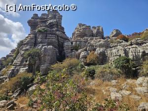 [P05]  -- <small>// FĂRĂ DESCRIERE</small> » foto by Maya_C
 - 
<span class="allrVoted glyphicon glyphicon-heart hidden" id="av1504315"></span>
<a class="m-l-10 hidden" id="sv1504315" onclick="voting_Foto_DelVot(,1504315,10280)" role="button">șterge vot <span class="glyphicon glyphicon-remove"></span></a>
<a id="v91504315" class=" c-red"  onclick="voting_Foto_SetVot(1504315)" role="button"><span class="glyphicon glyphicon-heart-empty"></span> <b>LIKE</b> = Votează poza</a> <img class="hidden"  id="f1504315W9" src="/imagini/loader.gif" border="0" /><span class="AjErrMes hidden" id="e1504315ErM"></span>