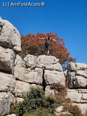 [P07]  -- <small>// FĂRĂ DESCRIERE</small> » foto by Maya_C
 - 
<span class="allrVoted glyphicon glyphicon-heart hidden" id="av1504317"></span>
<a class="m-l-10 hidden" id="sv1504317" onclick="voting_Foto_DelVot(,1504317,10280)" role="button">șterge vot <span class="glyphicon glyphicon-remove"></span></a>
<a id="v91504317" class=" c-red"  onclick="voting_Foto_SetVot(1504317)" role="button"><span class="glyphicon glyphicon-heart-empty"></span> <b>LIKE</b> = Votează poza</a> <img class="hidden"  id="f1504317W9" src="/imagini/loader.gif" border="0" /><span class="AjErrMes hidden" id="e1504317ErM"></span>