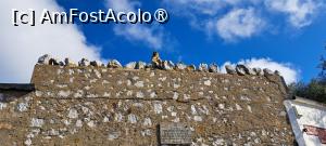 [P17] Gibraltar, maimuțe și pietre » foto by irinad
 - 
<span class="allrVoted glyphicon glyphicon-heart hidden" id="av1516142"></span>
<a class="m-l-10 hidden" id="sv1516142" onclick="voting_Foto_DelVot(,1516142,10280)" role="button">șterge vot <span class="glyphicon glyphicon-remove"></span></a>
<a id="v91516142" class=" c-red"  onclick="voting_Foto_SetVot(1516142)" role="button"><span class="glyphicon glyphicon-heart-empty"></span> <b>LIKE</b> = Votează poza</a> <img class="hidden"  id="f1516142W9" src="/imagini/loader.gif" border="0" /><span class="AjErrMes hidden" id="e1516142ErM"></span>