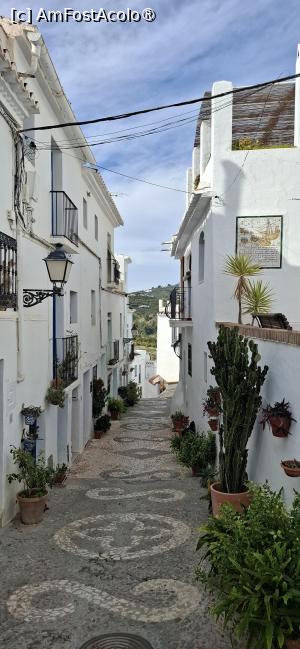 [P58] Frigiliana, pe alei » foto by irinad
 - 
<span class="allrVoted glyphicon glyphicon-heart hidden" id="av1516183"></span>
<a class="m-l-10 hidden" id="sv1516183" onclick="voting_Foto_DelVot(,1516183,10280)" role="button">șterge vot <span class="glyphicon glyphicon-remove"></span></a>
<a id="v91516183" class=" c-red"  onclick="voting_Foto_SetVot(1516183)" role="button"><span class="glyphicon glyphicon-heart-empty"></span> <b>LIKE</b> = Votează poza</a> <img class="hidden"  id="f1516183W9" src="/imagini/loader.gif" border="0" /><span class="AjErrMes hidden" id="e1516183ErM"></span>
