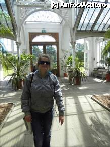 [P30] The Temperate House. » foto by TraianS
 - 
<span class="allrVoted glyphicon glyphicon-heart hidden" id="av222876"></span>
<a class="m-l-10 hidden" id="sv222876" onclick="voting_Foto_DelVot(,222876,10282)" role="button">șterge vot <span class="glyphicon glyphicon-remove"></span></a>
<a id="v9222876" class=" c-red"  onclick="voting_Foto_SetVot(222876)" role="button"><span class="glyphicon glyphicon-heart-empty"></span> <b>LIKE</b> = Votează poza</a> <img class="hidden"  id="f222876W9" src="/imagini/loader.gif" border="0" /><span class="AjErrMes hidden" id="e222876ErM"></span>