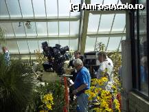 [P94] Princess of Wales Conservatory. O echipa de filmare. Cred ca filmau un documentar ceva. Aveau scule periculoase. » foto by TraianS
 - 
<span class="allrVoted glyphicon glyphicon-heart hidden" id="av223003"></span>
<a class="m-l-10 hidden" id="sv223003" onclick="voting_Foto_DelVot(,223003,10282)" role="button">șterge vot <span class="glyphicon glyphicon-remove"></span></a>
<a id="v9223003" class=" c-red"  onclick="voting_Foto_SetVot(223003)" role="button"><span class="glyphicon glyphicon-heart-empty"></span> <b>LIKE</b> = Votează poza</a> <img class="hidden"  id="f223003W9" src="/imagini/loader.gif" border="0" /><span class="AjErrMes hidden" id="e223003ErM"></span>