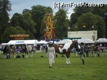 [P225] Doamna cu palarie era judecator. In spate se vede un loc amenajat pentru copii.The Royal Horse Show, Windsor Castle » foto by TraianS
 - 
<span class="allrVoted glyphicon glyphicon-heart hidden" id="av239190"></span>
<a class="m-l-10 hidden" id="sv239190" onclick="voting_Foto_DelVot(,239190,10282)" role="button">șterge vot <span class="glyphicon glyphicon-remove"></span></a>
<a id="v9239190" class=" c-red"  onclick="voting_Foto_SetVot(239190)" role="button"><span class="glyphicon glyphicon-heart-empty"></span> <b>LIKE</b> = Votează poza</a> <img class="hidden"  id="f239190W9" src="/imagini/loader.gif" border="0" /><span class="AjErrMes hidden" id="e239190ErM"></span>