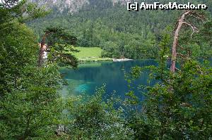 [P13] Alpsee in apropiere de Schloss Neuschwanstein » foto by osna
 - 
<span class="allrVoted glyphicon glyphicon-heart hidden" id="av548186"></span>
<a class="m-l-10 hidden" id="sv548186" onclick="voting_Foto_DelVot(,548186,10307)" role="button">șterge vot <span class="glyphicon glyphicon-remove"></span></a>
<a id="v9548186" class=" c-red"  onclick="voting_Foto_SetVot(548186)" role="button"><span class="glyphicon glyphicon-heart-empty"></span> <b>LIKE</b> = Votează poza</a> <img class="hidden"  id="f548186W9" src="/imagini/loader.gif" border="0" /><span class="AjErrMes hidden" id="e548186ErM"></span>